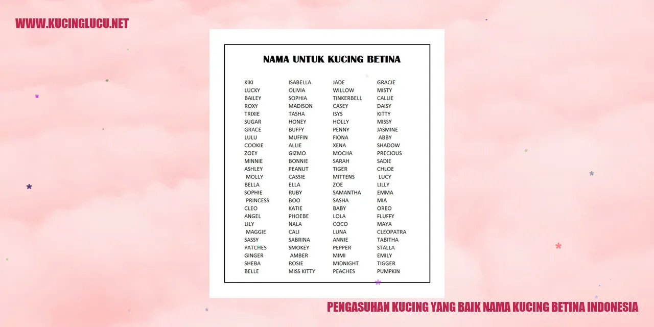 Gambar kucing betina Indonesia