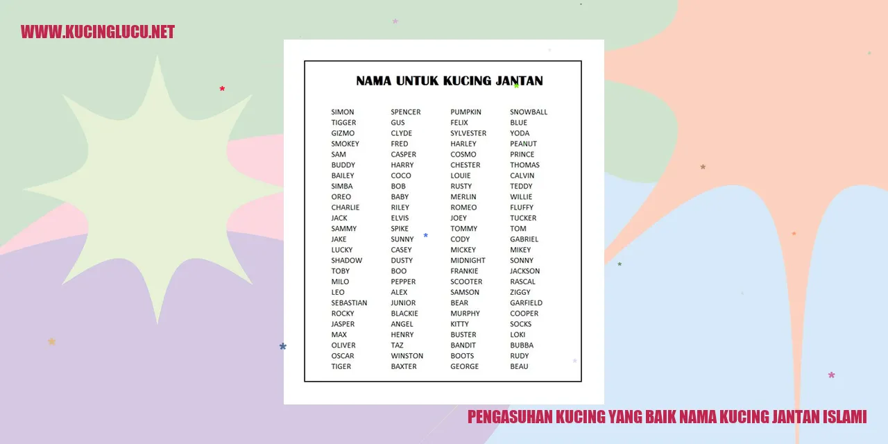 kucing jantan islami