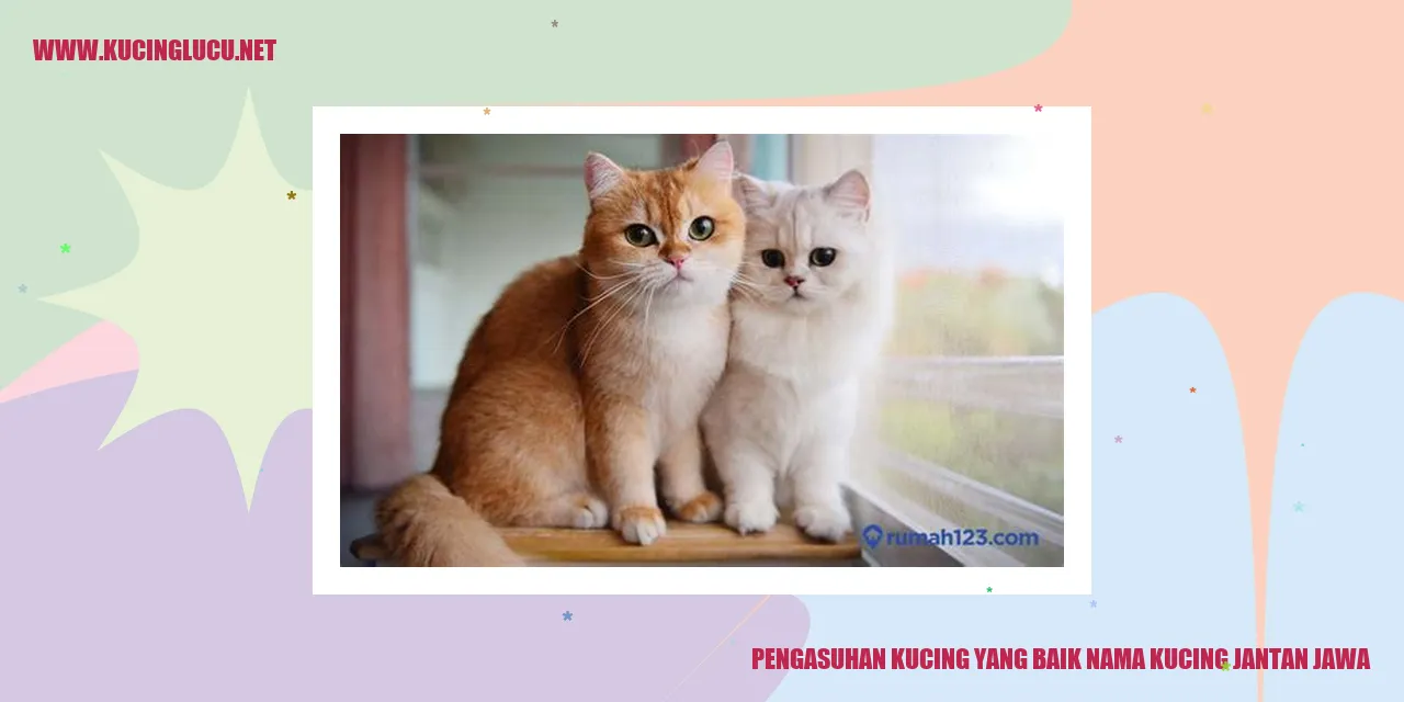 Kucing Jantan Jawa