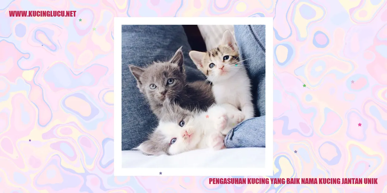 Pentingnya Asuhan yang Baik untuk Kucing Jantan dan Nama yang Unik