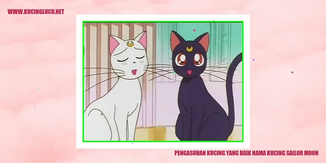 Kucing Sailor Moon