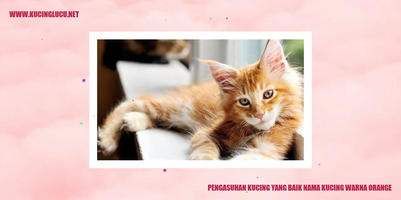 Foto Kucing Warna Orange