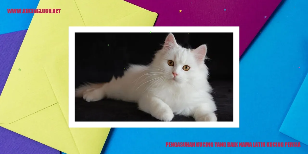 Pengasuhan Kucing yang Baik nama latin kucing persia