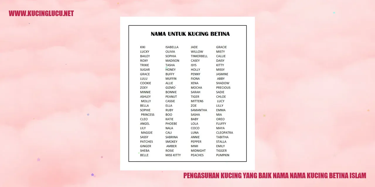 Kucing Betina