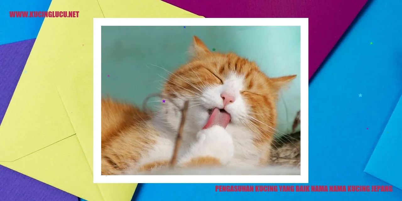 Kucing Jepang yang Lucu