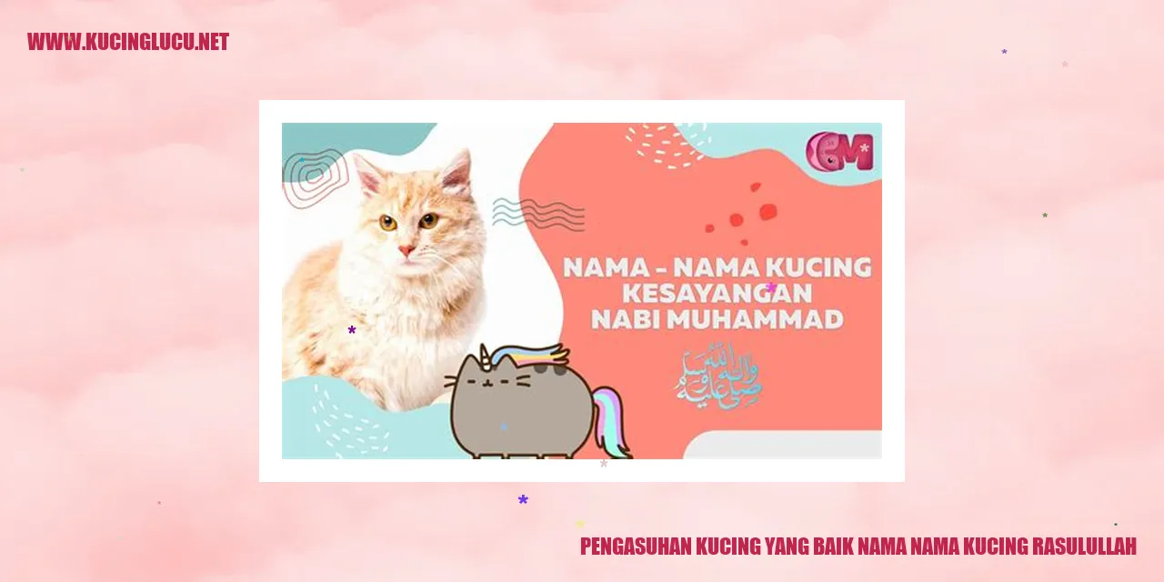 Kucing Menggemaskan