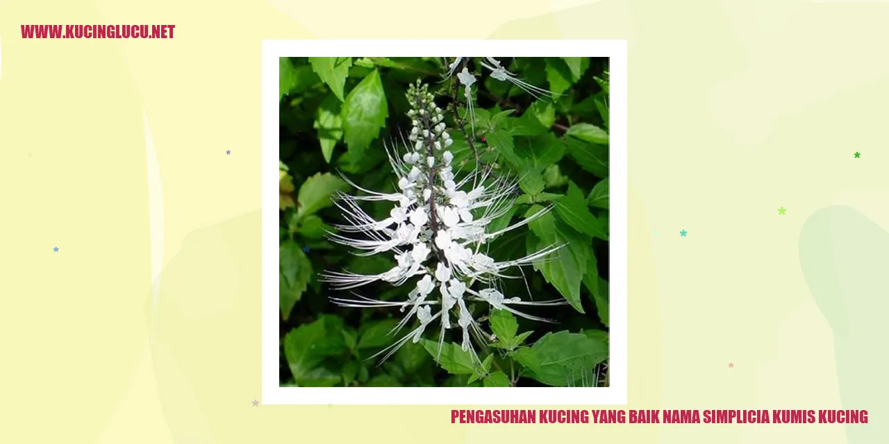 Gambar Menggemaskan Kucing