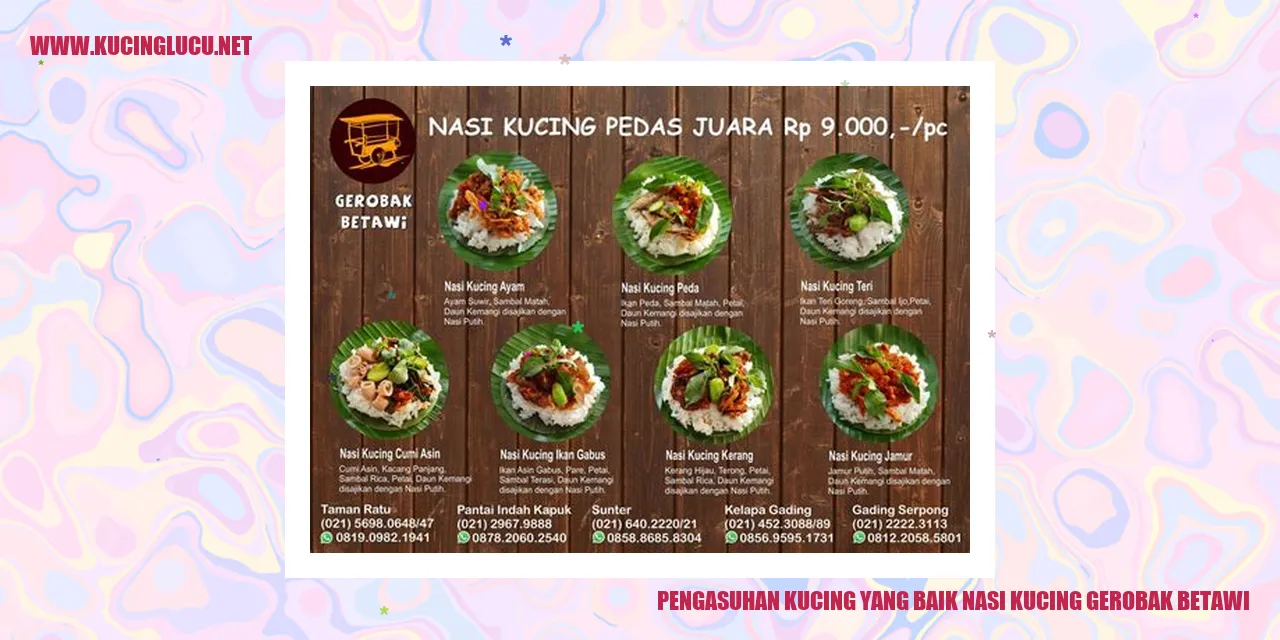 Kucing yang Bahagia