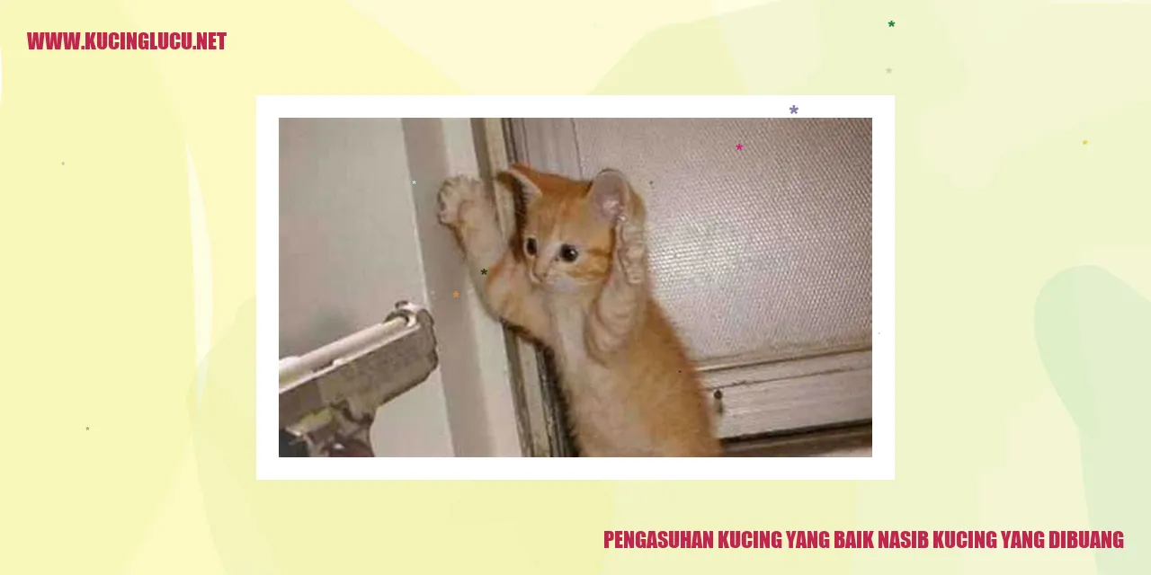 Pengasuhan Kucing yang Baik