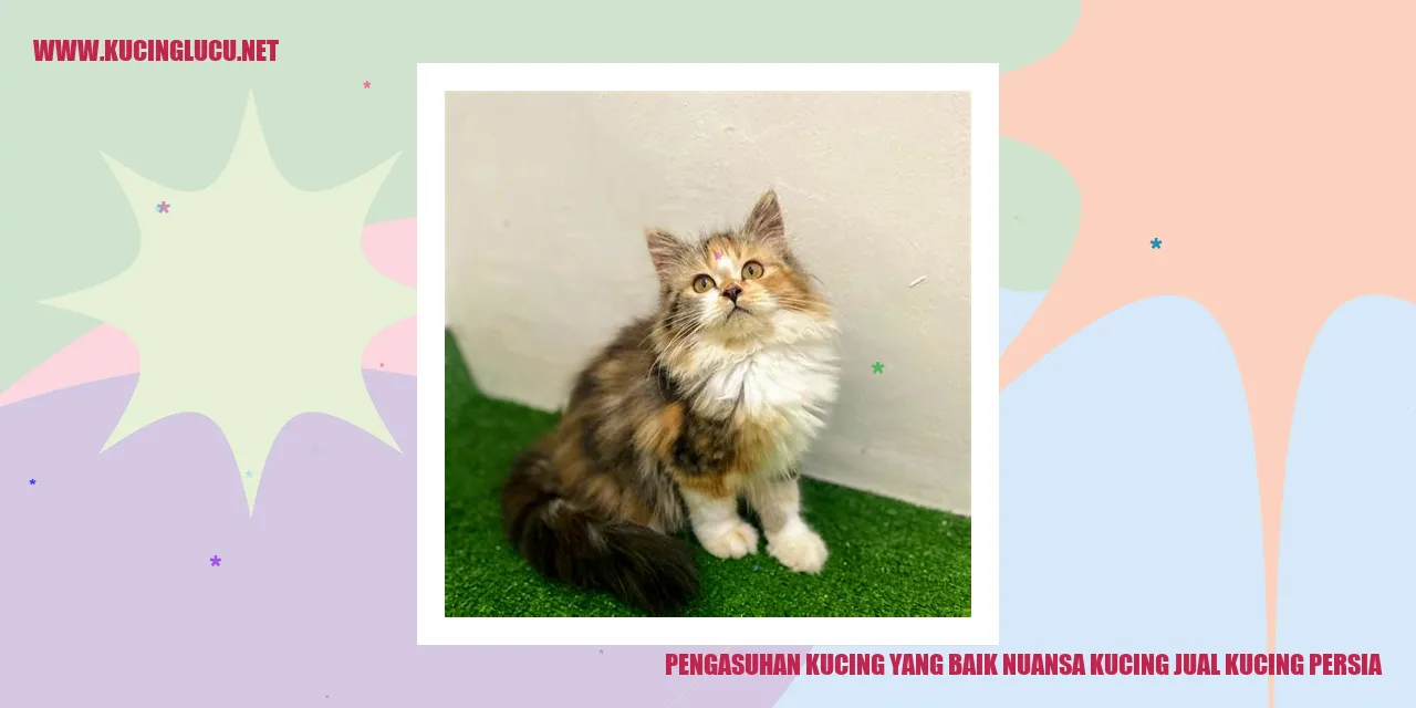 Gambar Kucing Persia yang Menggemaskan