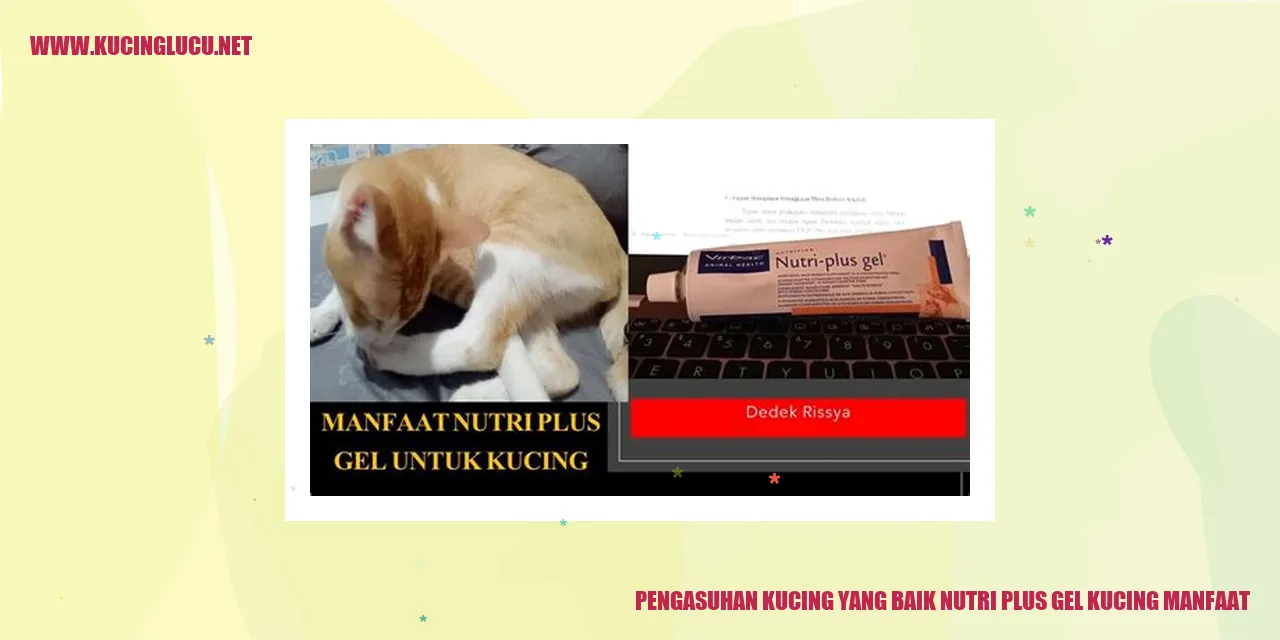 Pengasuhan Kucing yang Baik nutri plus gel kucing manfaat