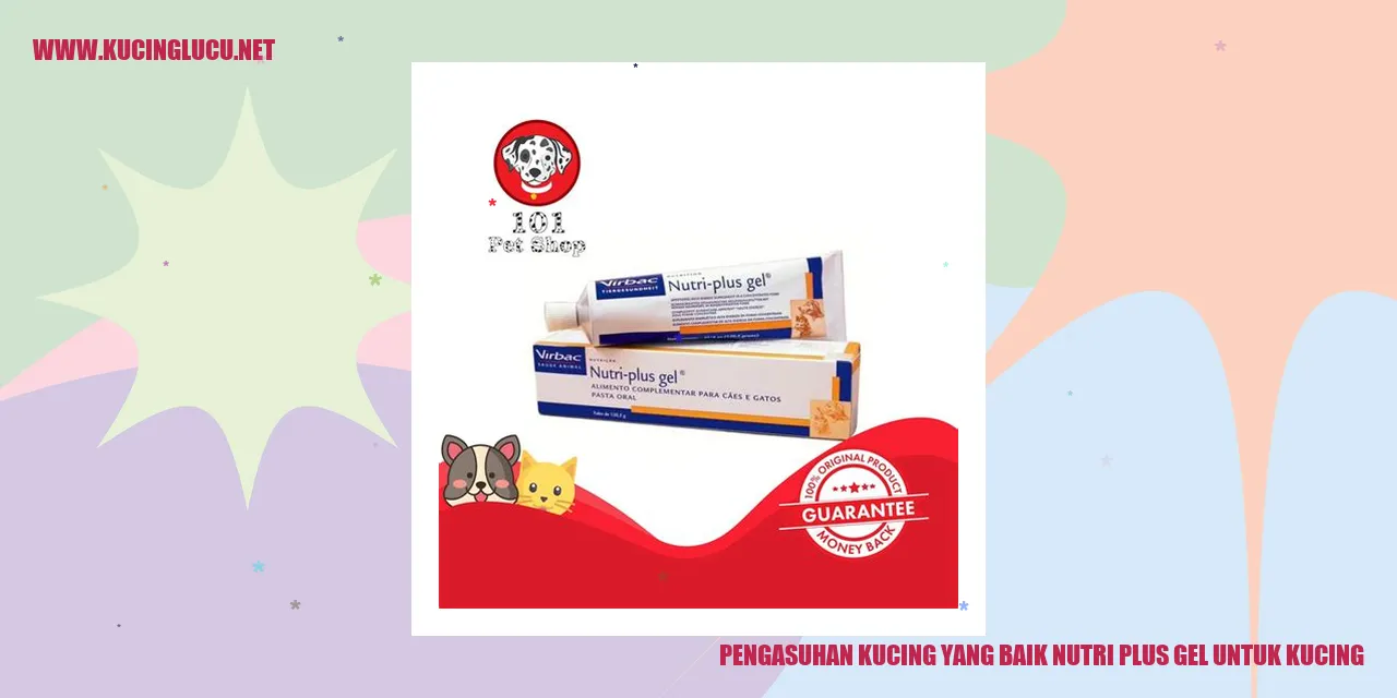 Gambar kucing sehat