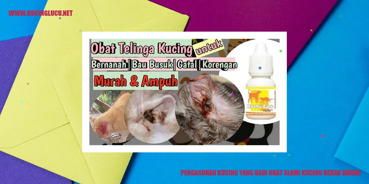 Kucing Sehat