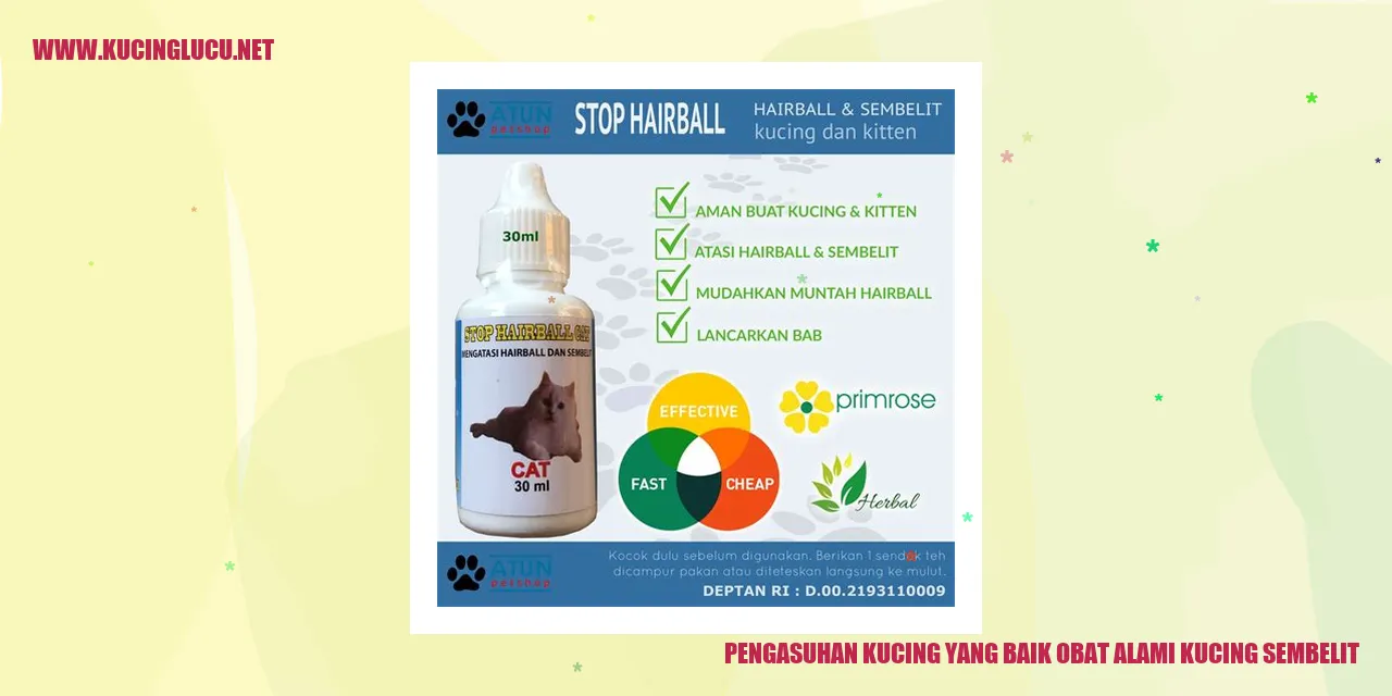 Pengasuhan Kucing yang Baik