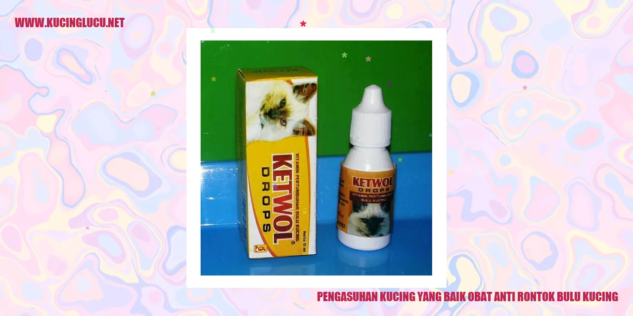 gambar kucing
