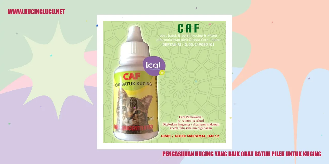 Gambar kucing