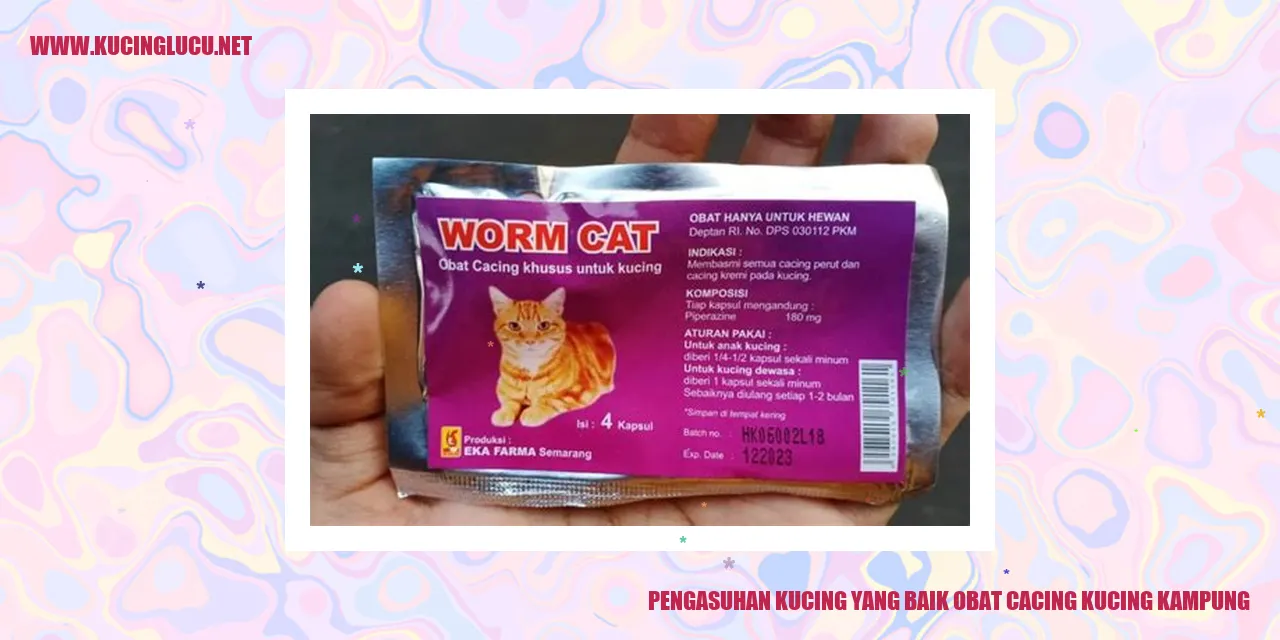 Gambar Kucing