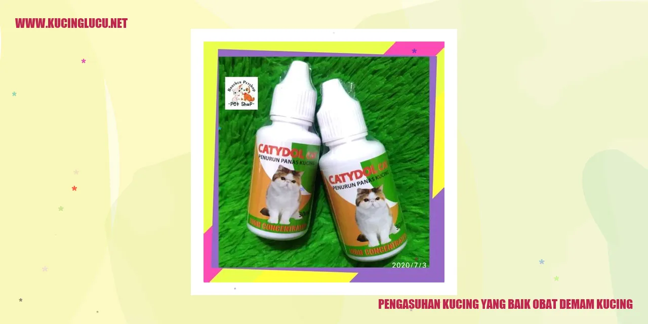 Kucing Lucu