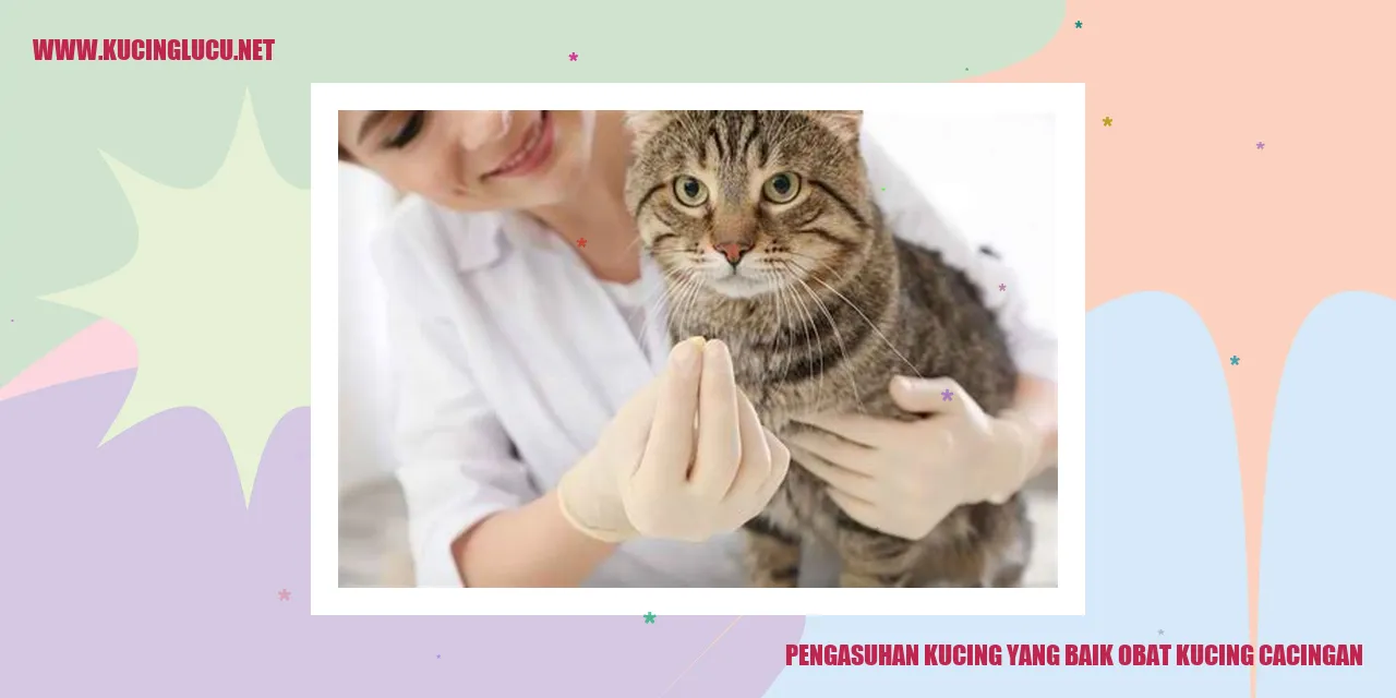 Kucing yang Sehat