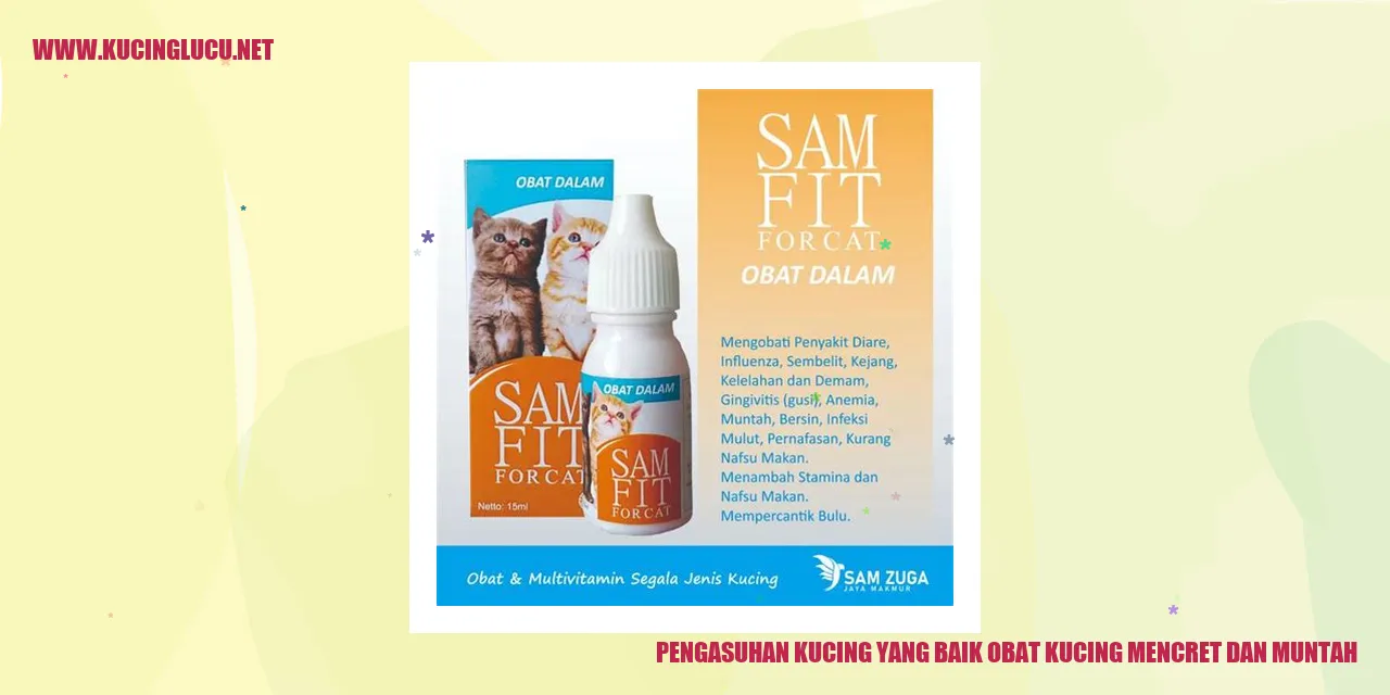 Gambar Kucing Lucu