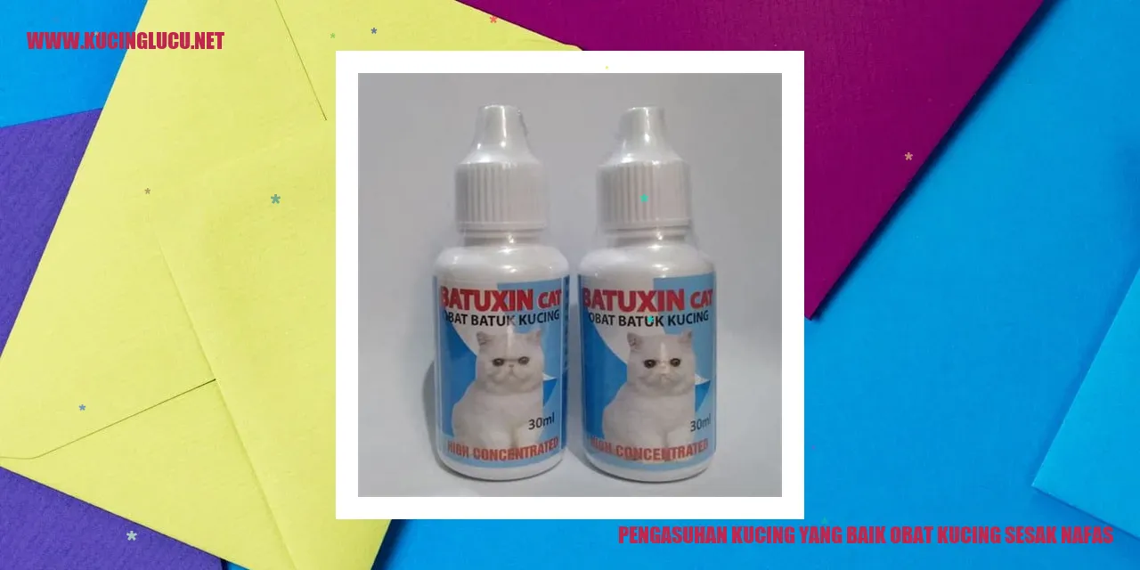 Kucing yang Sehat
