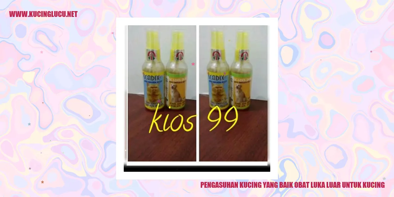 Perawatan Kucing yang Baik