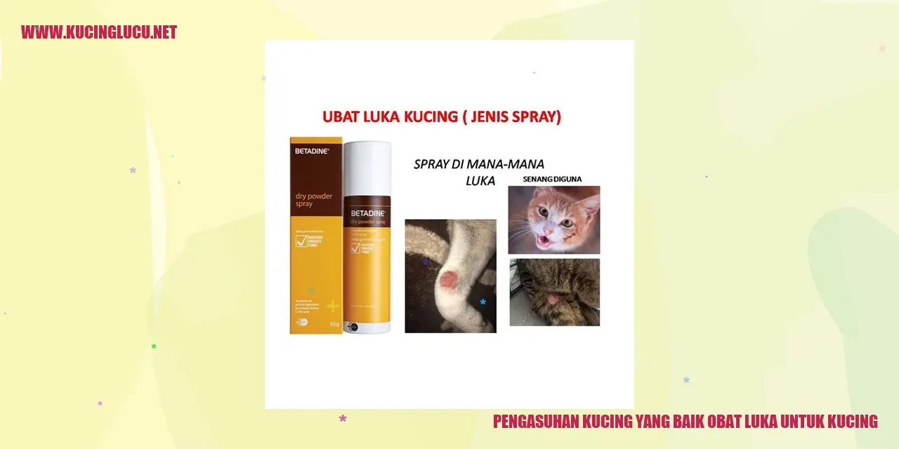 Kucing yang Bahagia