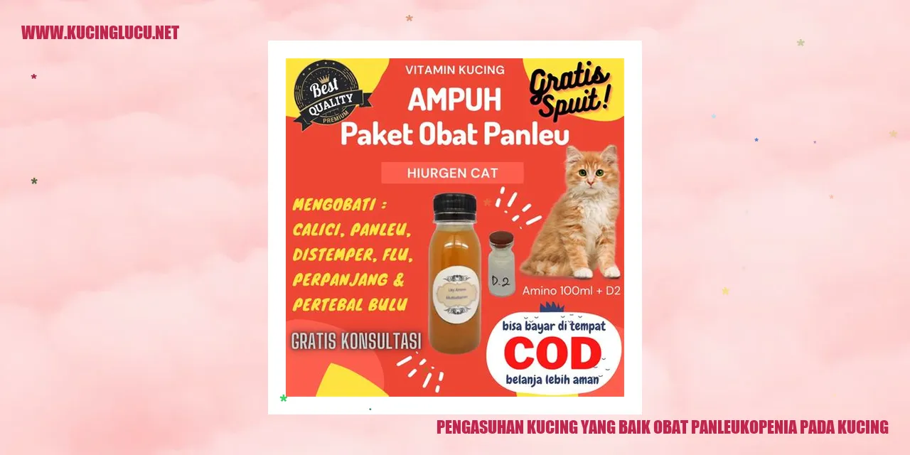 Pengasuhan Kucing yang Baik