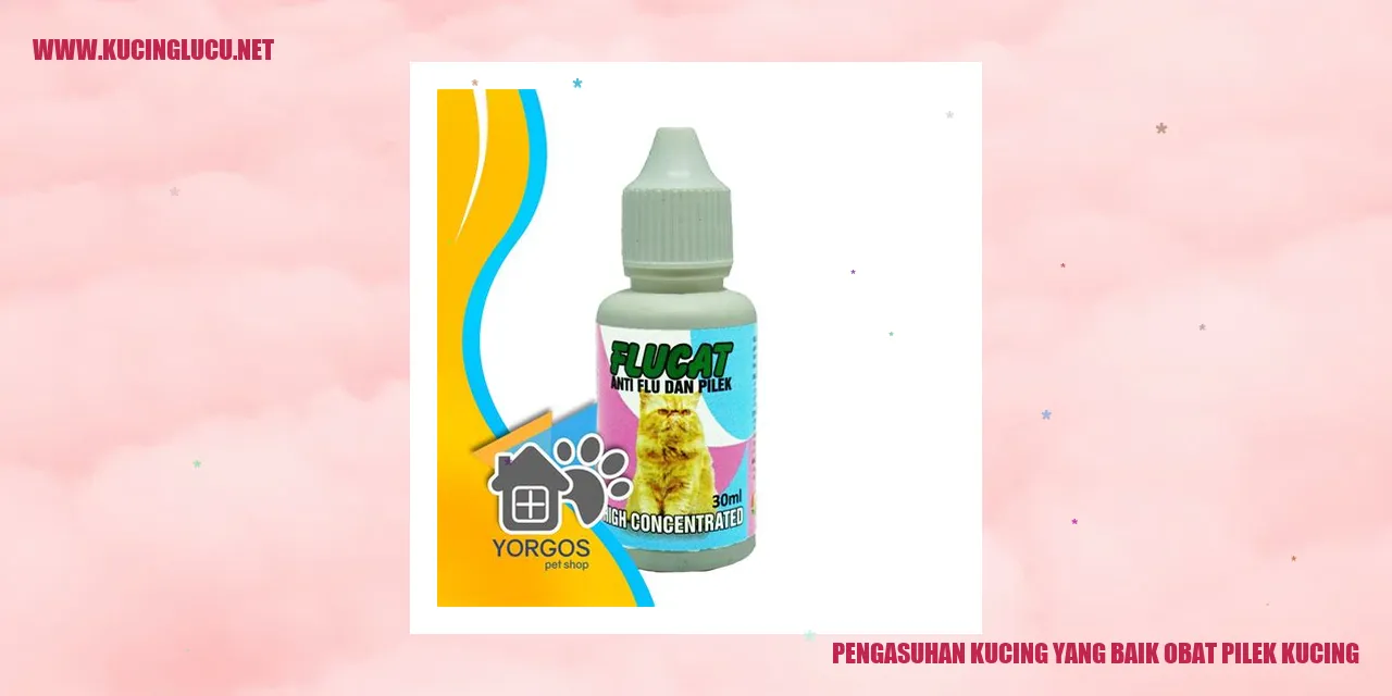 Kucing yang Sehat dan Bahagia
