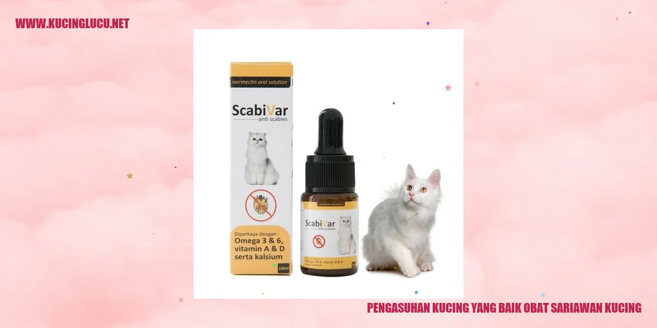 Gambar Kucing