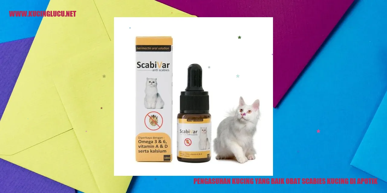 kucing yang sehat