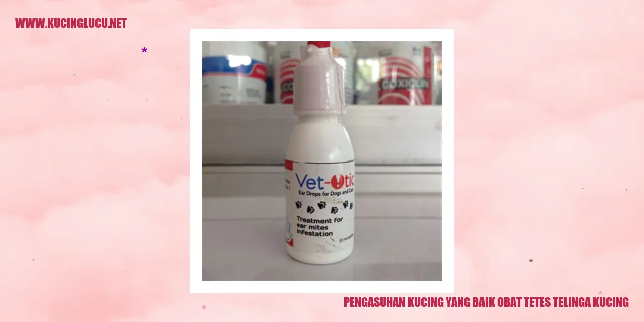Pilihan Gambar Sehat Kucing