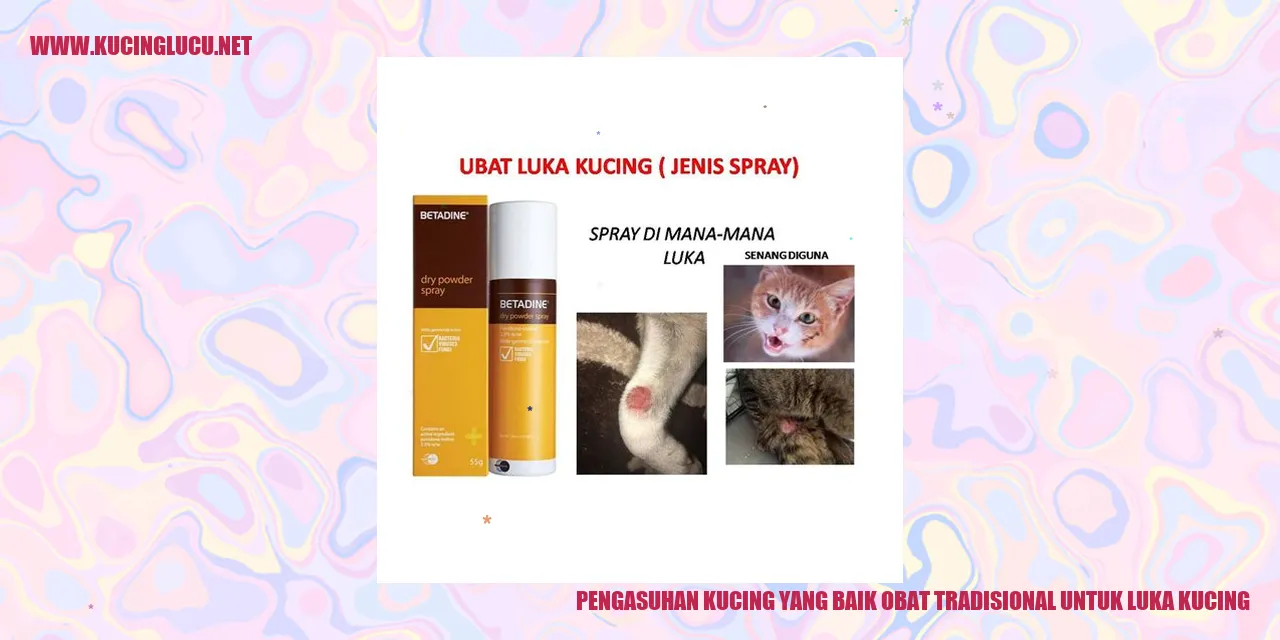 Gambar kucing