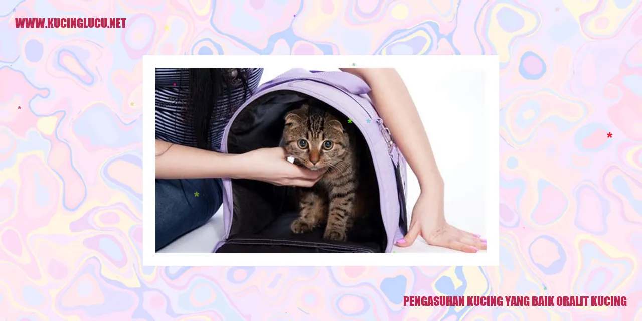 Kucing yang Bahagia