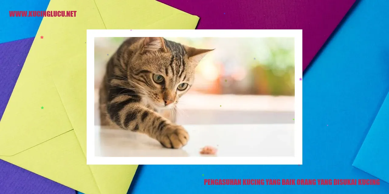 Foto Kucing