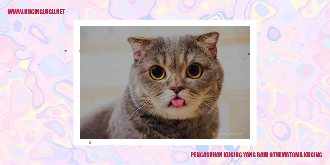 Pengasuhan Kucing yang Baik