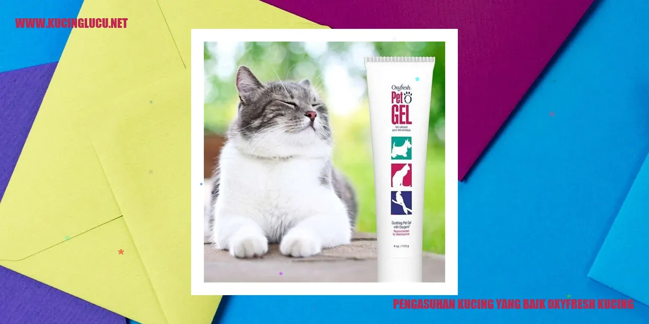 Pengasuhan Kucing yang Baik