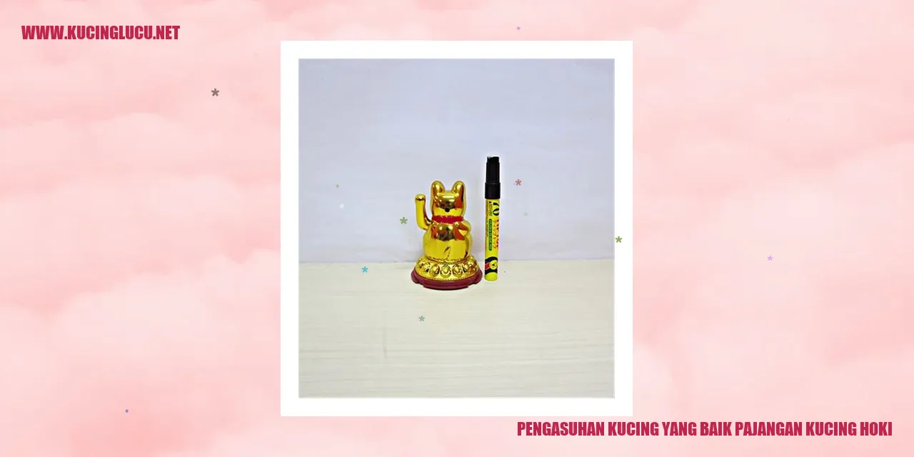 Kucing hoki yang sehat dan bahagia