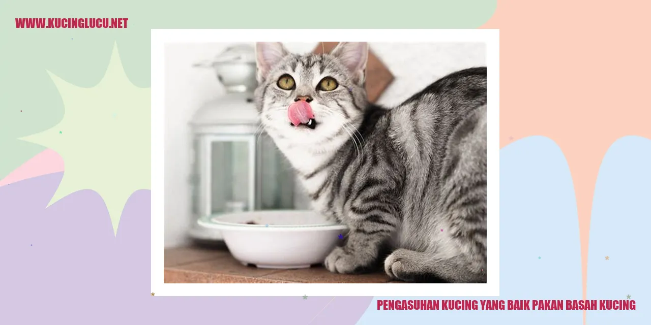 Gambar Kucing Makan Pakan Basah
