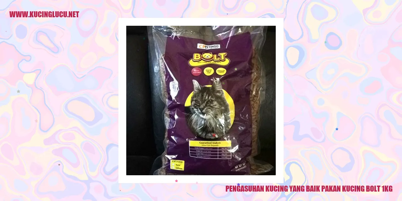 Pengasuhan Kucing yang Baik