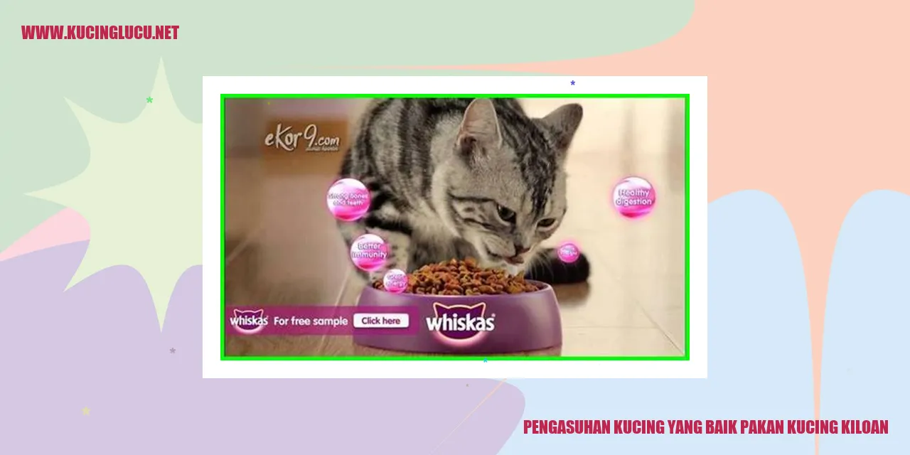 Pengasuhan Kucing yang Baik
