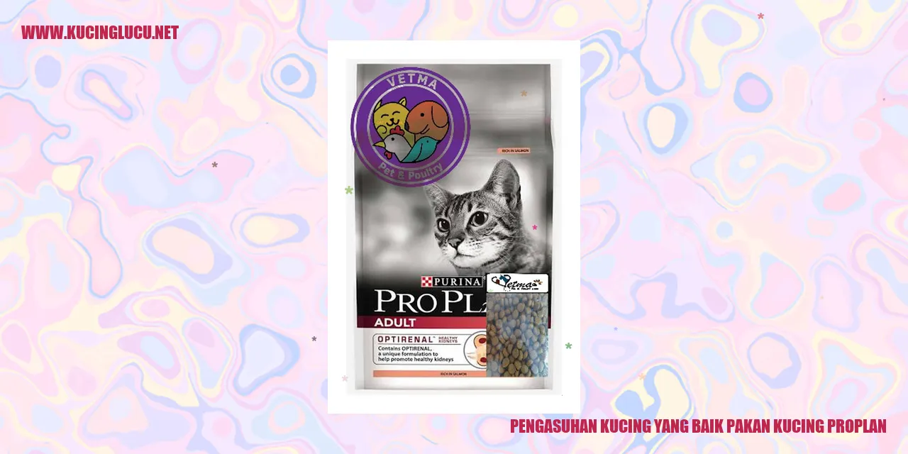 Kucing dengan Pakan Kucing Proplan