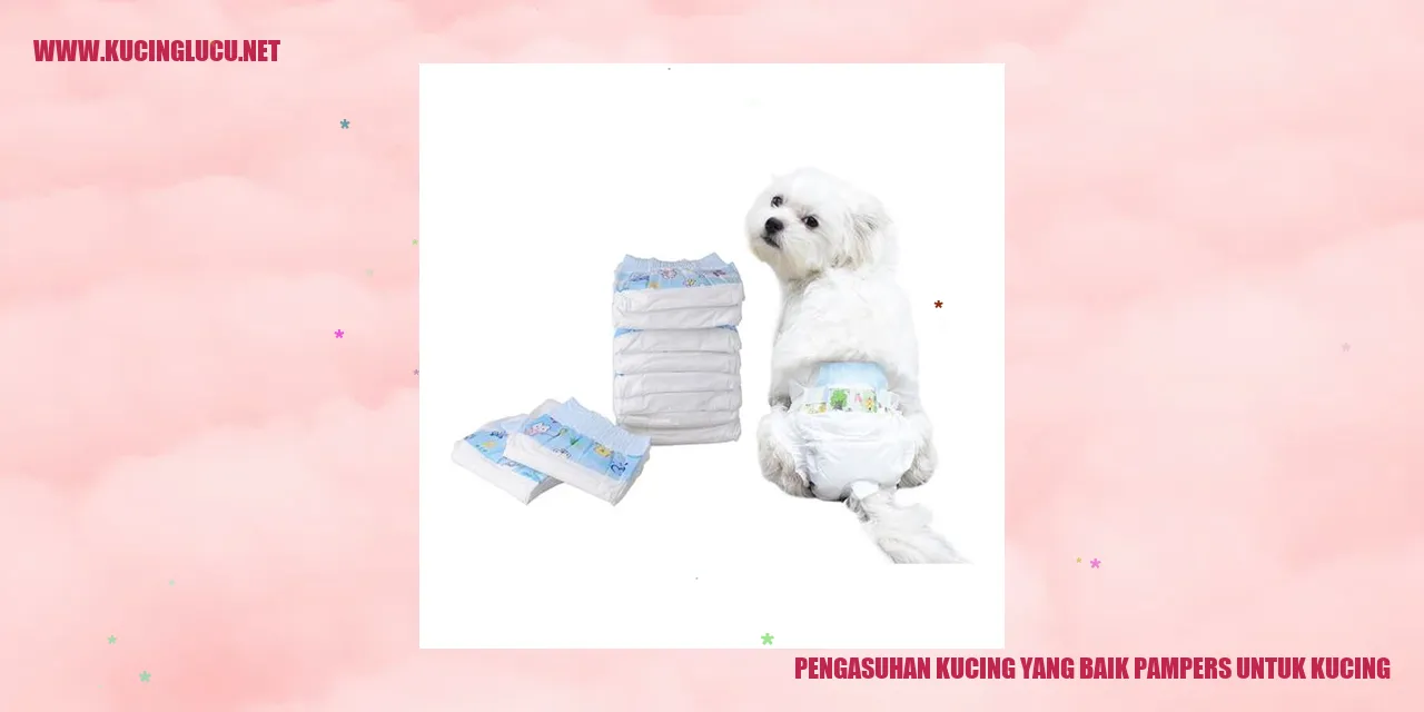 Kucing Lucu