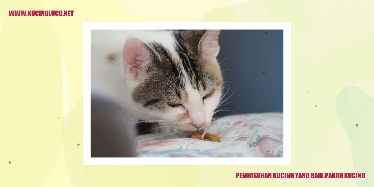 Pengasuhan Kucing yang Baik