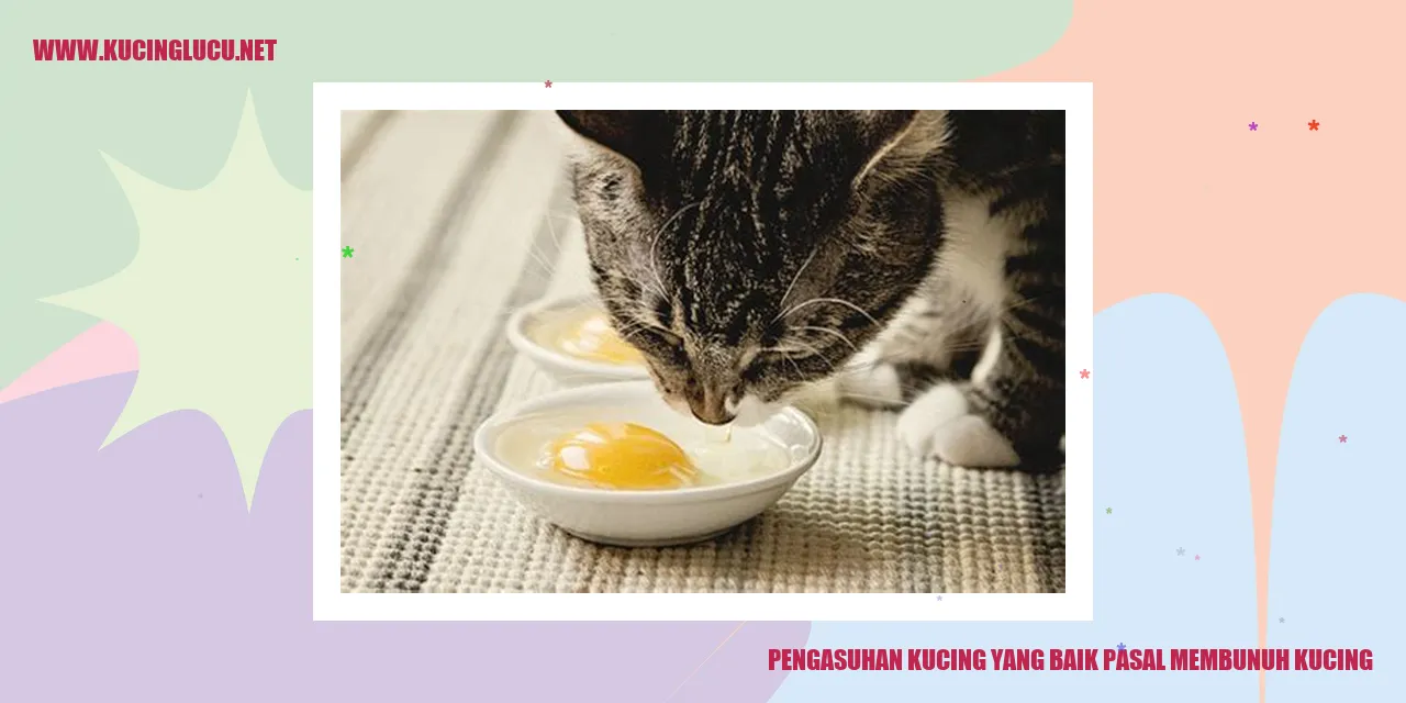 Gambar kucing tidur
