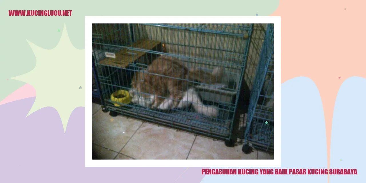 Kucing yang Sehat dan Bahagia