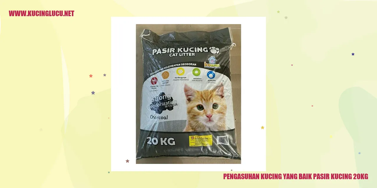 Gambar kucing menggunakan pasir kucing