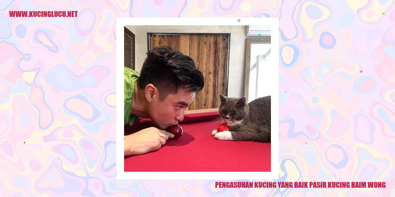 Gambar kucing yang sehat dan bahagia