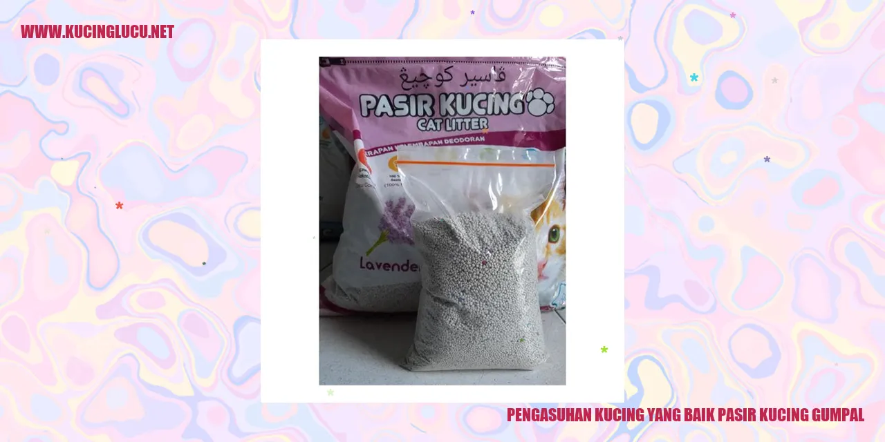 Kucing menggunakan pasir kucing gumpal