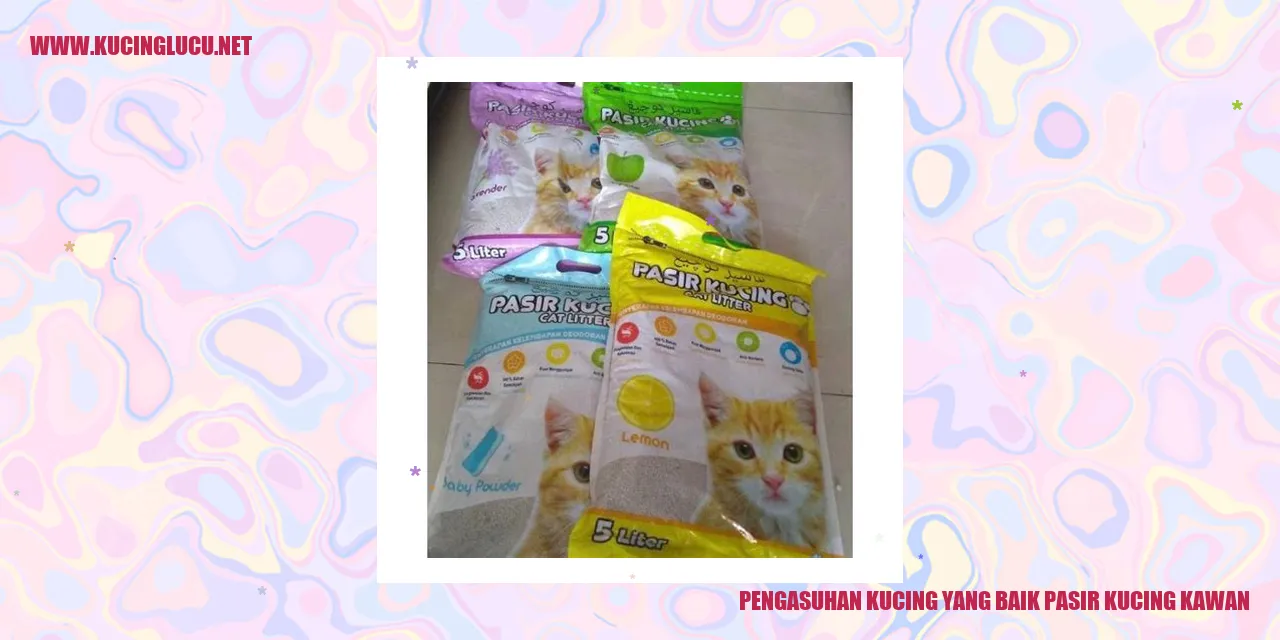 Gambar Kucing Menggunakan Pasir Kucing